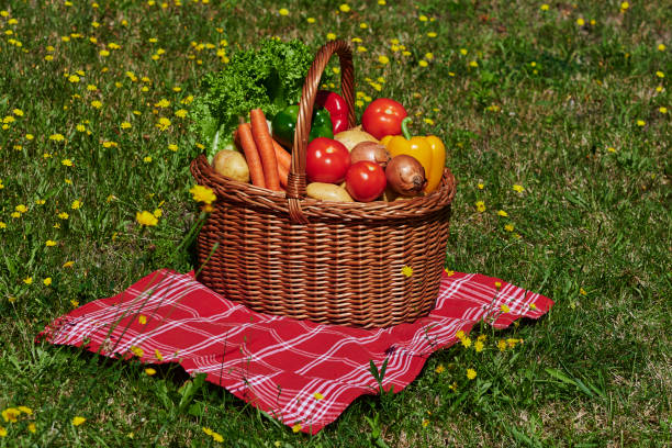 istock Basket of different vegetables in the sunlight. 1264835423