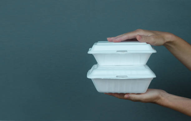 istock Woman's hands holding takeaway foam lunch boxes. Single use food containers, close up. 1264837768