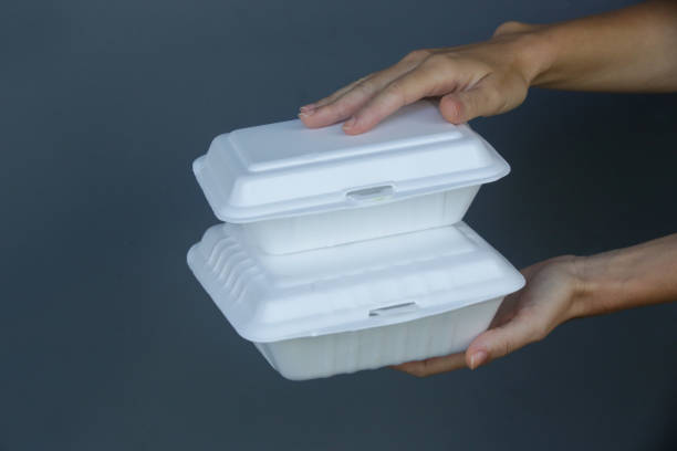 istock Woman's hands holding takeaway foam lunch boxes. Single use food containers, close up. 1264837844