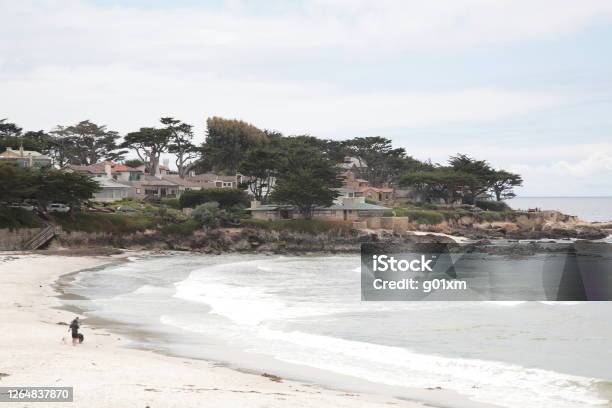 カリフォルニア州カーメルのカーメルビーチのサイプレスツリーと大邸宅の眺め イトスギのストックフォトや画像を多数ご用意 イトスギ, 家