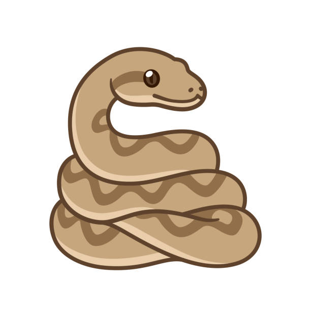 100+ Reticulated Python Stock Illustrations, Royalty-Free Vector ...