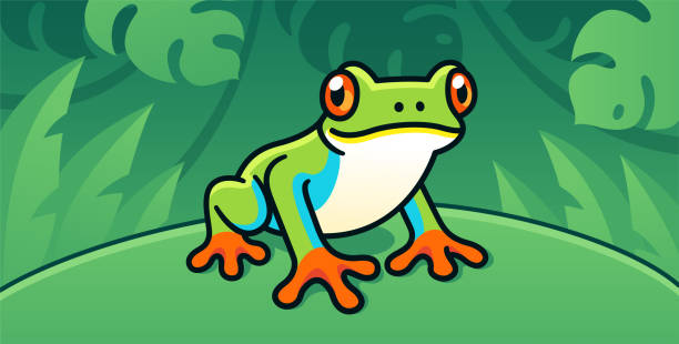 Red-Eyed Tree Frog Red-Eyed Tree Frog, cute cartoon illustration of Central American rainforest frog in the wild. frog stock illustrations