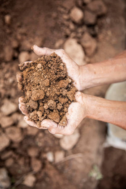 istock Closeup of hands holding sand for building construction. 1264844099