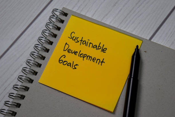 istock Sustainable Development Goals write on a book isolated on office desk 1264844230