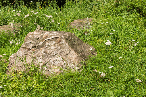 Element of landscape design, rockery in the yard - large natural boulders in the grass