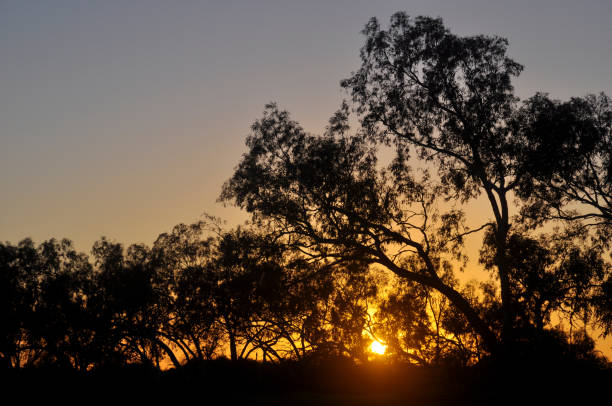 Horizontal image of the sun rising. Wooramel. August 2020.