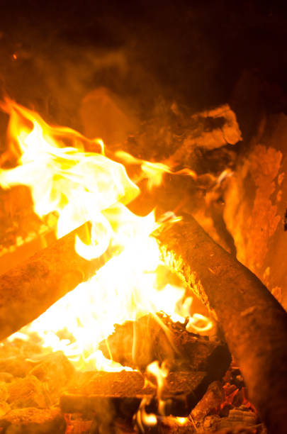 istock Burning campfire on a dark night in a outdoor 1264848260