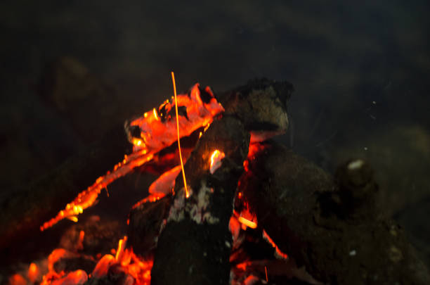 istock Burning Wood In The Fireplace on Close up 1264850379
