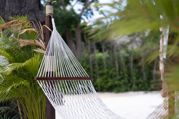 istock White hammock relax on the sea 1264850982