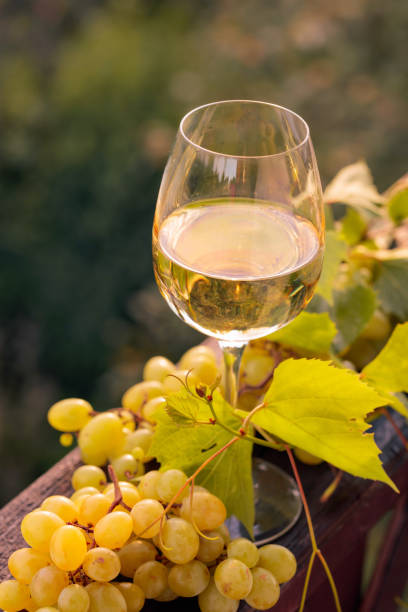 bicchiere di vino bianco e uva con foglie. - 3502 foto e immagini stock