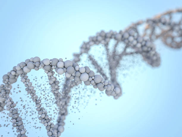istock DNA chain. Abstract background. Genetics and medicine concept. 3D rendering 1264852197