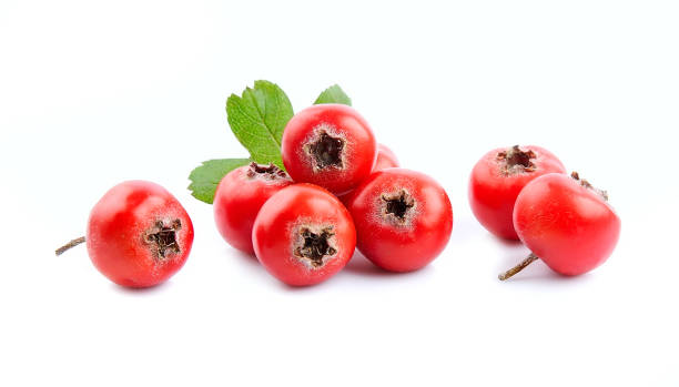 frutas de espino - tree hawthorn isolated cut out fotografías e imágenes de stock