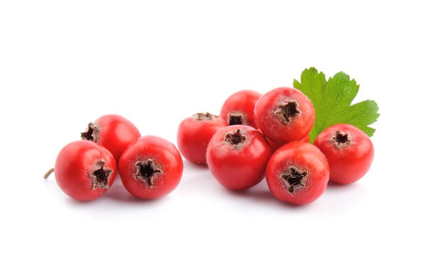 istock Hawthorn fruits 1264853091