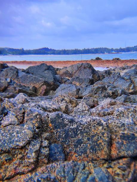 istock Sakera Lagoi Beach Bintan Island 1264853128