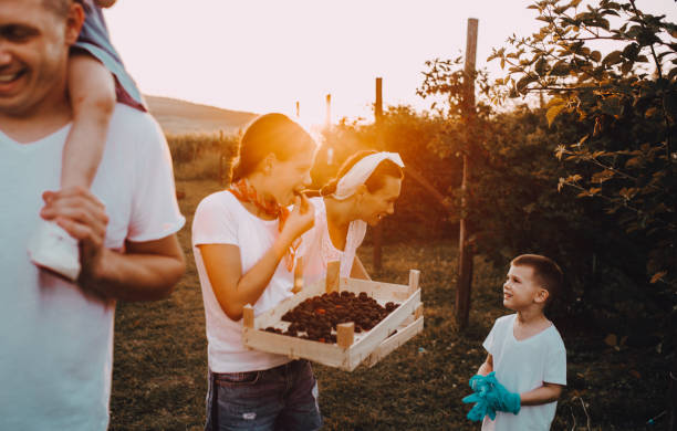 istock Mom and kids harvesting fruit 1264854283