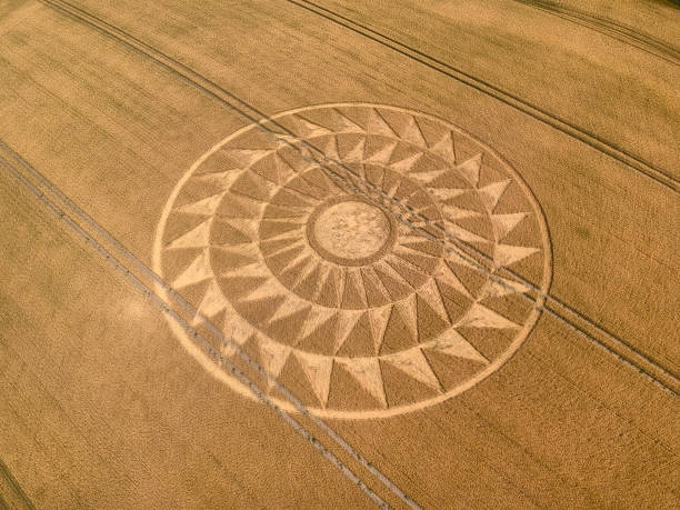 Crop Circle appears near Wantage, Oxfordshire 9 August 2020 Crop Circle appears near Wantage, Oxfordshire 9 August 2020 aerial shots taken. crop circle stock pictures, royalty-free photos & images