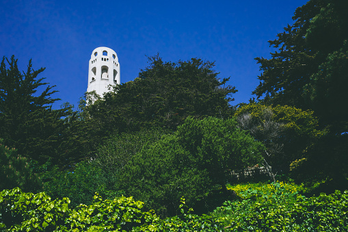 Coit Tower over trees on Telegraph Hill in San Francisco, California, USA