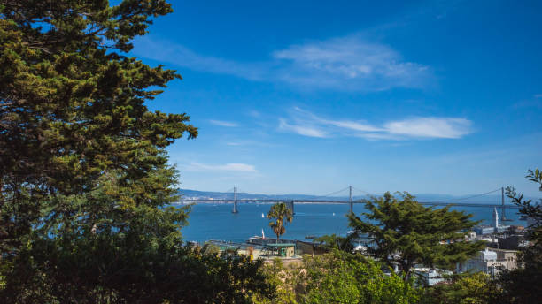 istock San Francisco Bay in San Francisco, California, USA 1264856536