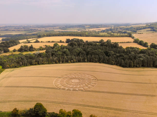 Crop Circle appears near Wantage, Oxfordshire 9 August 2020 stock photo