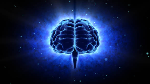 istock Brain head human mental idea mind 3D illustration background 1264859225
