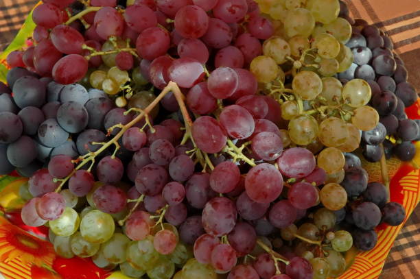 istock Fresh ripe white, black and pink grapes, ready to eat 1264861757