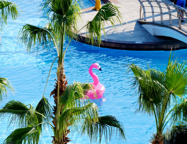 inflatable flamingo floating in the pool among the palm trees