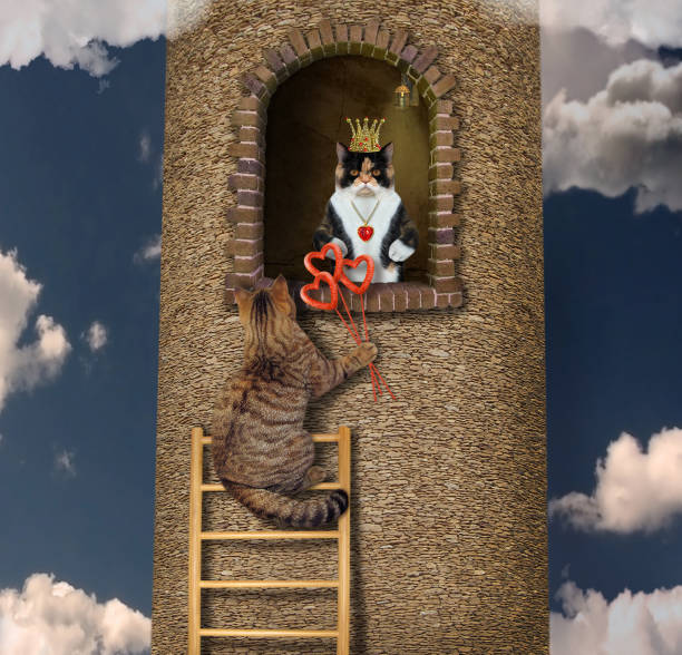 istock Cat climbs up to his beloved 2 1264862907