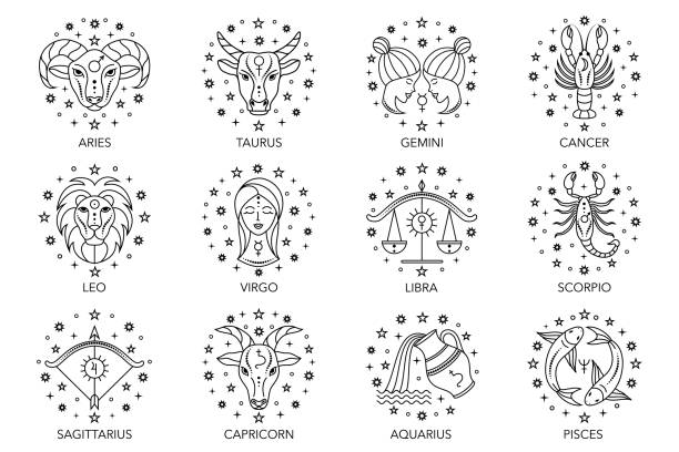 zodiac signs on white Collection of zodiac signs on white background. Line art icons. astrology sign illustrations stock illustrations