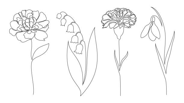 花のセット - カーネーション点のイラスト素材／クリップアート素材／マンガ素材／アイコン素材