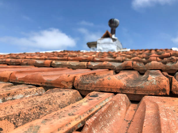 istock roof tiles as a background 1264864029