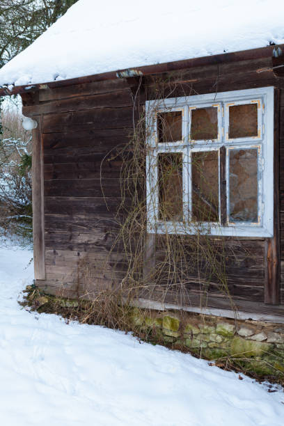 istock An old, abandoned log cabin in a winter setting. 1264865050