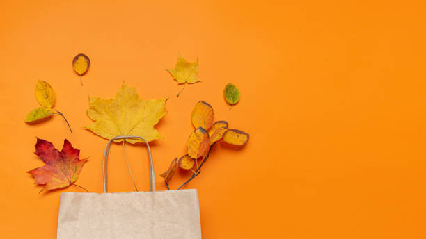 istock Fall leaves in craft paper bag on orange background. 1264867045
