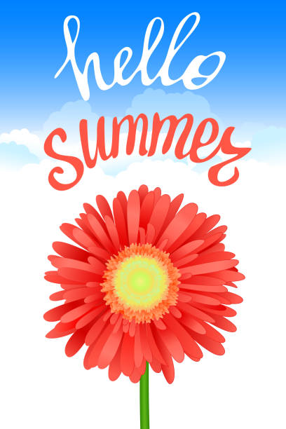 istock Hello Summer Lettering and Realistic Gerbera Flower. Summer background design for your holiday poster, banner, headline text. Vector Illustration. 1264867196