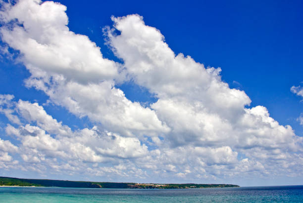 istock Sandy beach on the Black Sea coast 1264867742
