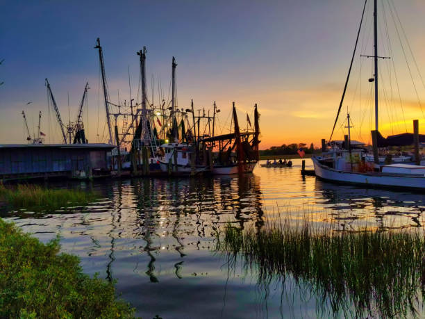 bateaux de crevettes sur le ruisseau avec des pêcheurs à moteur par - charleston harbor photos et images de collection