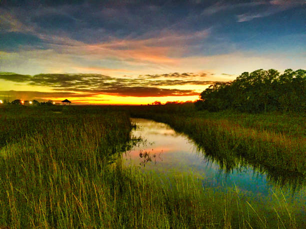 zachód słońca bagno trawa ujścia z kolorowych chmur odbijających się w potoku - low salt zdjęcia i obrazy z banku zdjęć