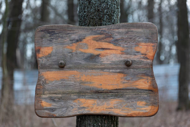 istock Old wooden sign on tree. Rough scuffed wooden surface. Copy space. 1264873773