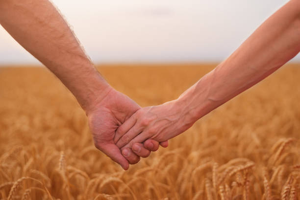 istock Guy and girl holding hands over ripe wheat field background 1264873802