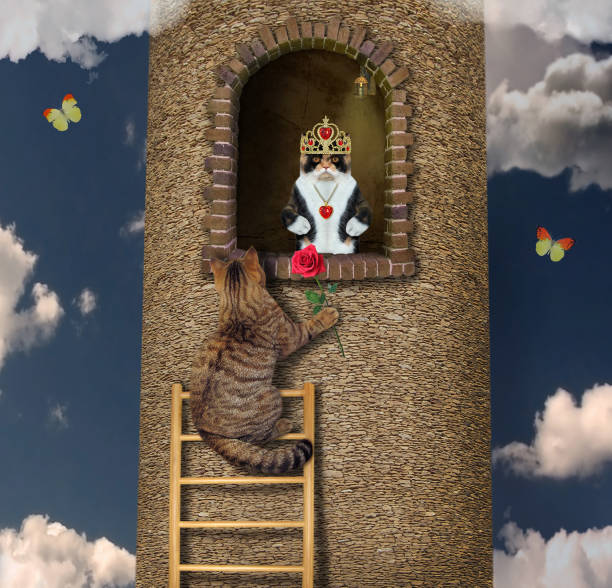istock Cat climbs up to his beloved 1264883447