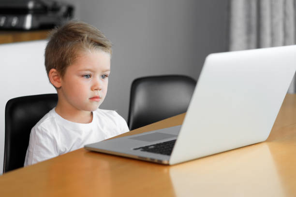 istock A young boy using a laptop computer sitting on top of a table at home 1264889064