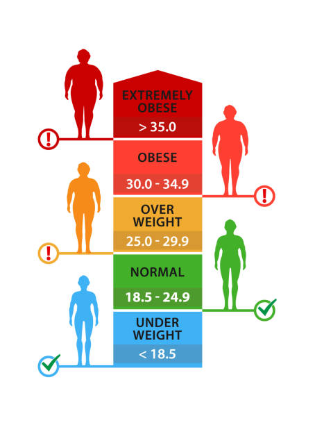 Ilustración de Indice De Masa Corporal Siluetas De Hombre Con Diferentes Grados De Obesidad Pérdida De Peso y Vectores Libres de Derechos de de masa corporal - iStock