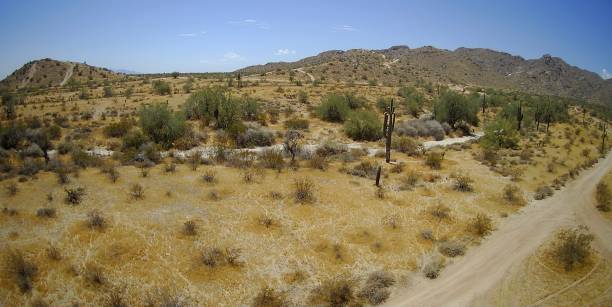 istock Ariel view of the desert 1264894729