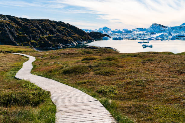 Hiking trail path in Greenland arctic nature landscape with icebergs in Ilulissat icefjord Hiking trail path in Greenland arctic nature landscape with icebergs in Ilulissat icefjord. Photo of scenery ice and iceberg in Greenland in summer. ilulissat icefjord stock pictures, royalty-free photos & images