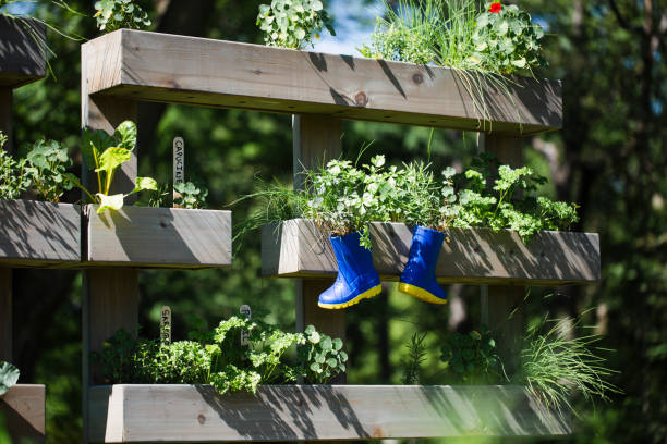 木製の容器に新鮮なハーブプランテーション - oregano herb garden herb gardens ストックフォトと画像