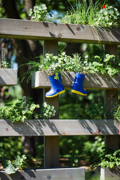 木製の容器に新鮮なハーブプランテーション - oregano herb garden herb gardens ストックフォトと画像