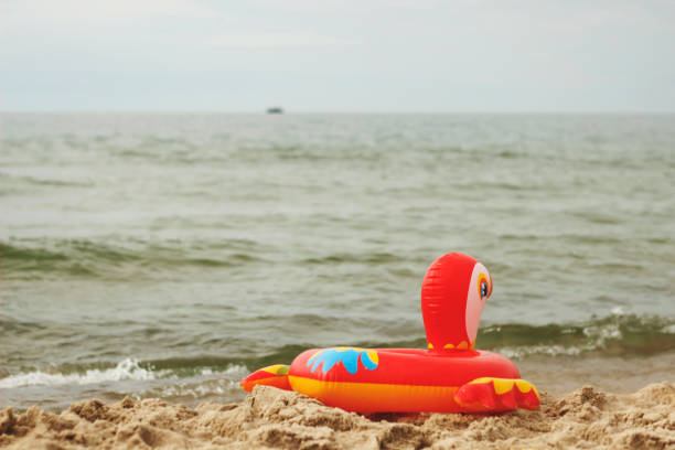 istock Sunset by the sea. 1264906502