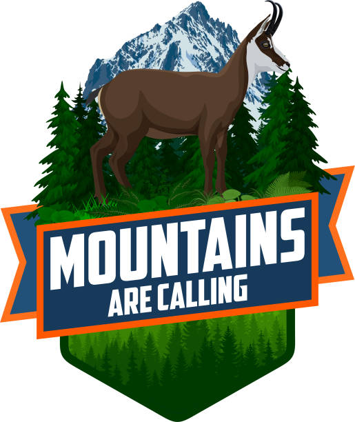 The Mountains Are Calling. vector Outdoor Adventure Inspiring Motivation Emblem logo illustration with chamois The Mountains Are Calling. vector Outdoor Adventure Inspiring Motivation Emblem logo illustration with chamois tatra mountains stock illustrations