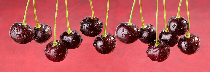 Cherry banner background. Berries in row on red background with drops of freshness. Healthy food concept. Placement on the packaging of goods