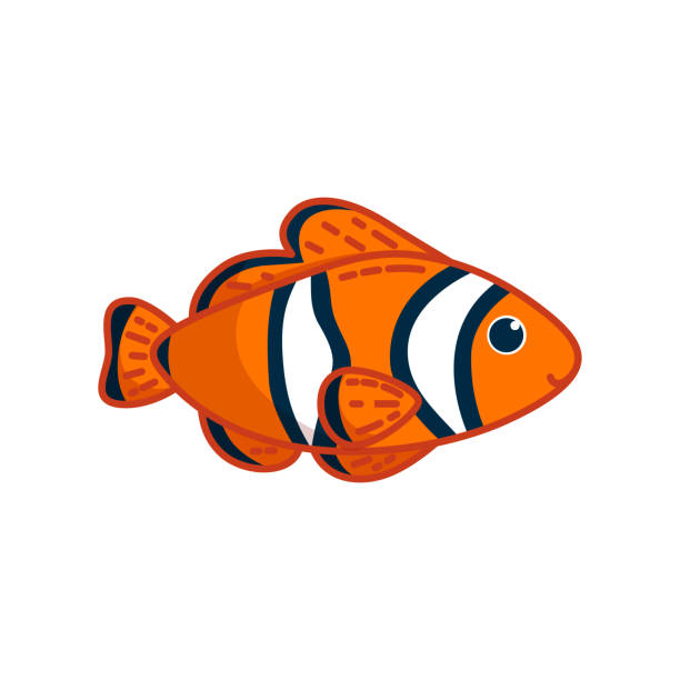 ilustrações, clipart, desenhos animados e ícones de peixe-palhaço em fundo branco. ilustração vetorial em estilo desenho animado - tropical fish clown fish isolated animal