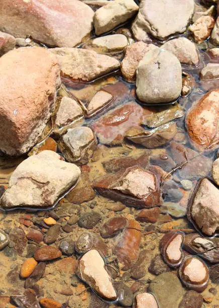 River rocks shot in the Alamosa River in Colorado.